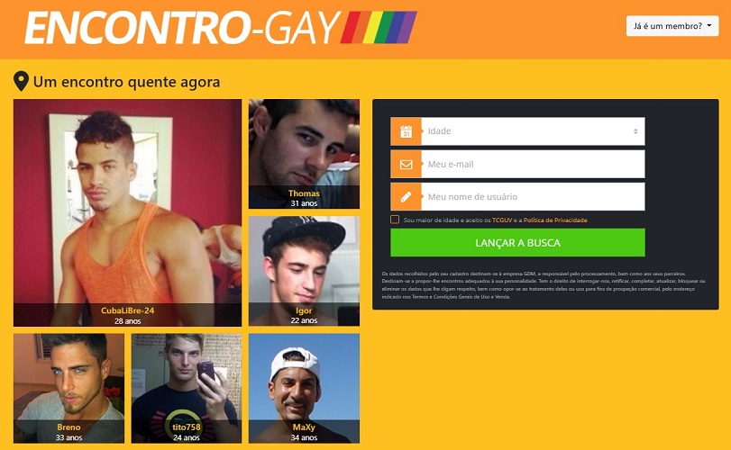 Site Encontro Gay: Tudo o Que Precisas de Saber Antes de Usar